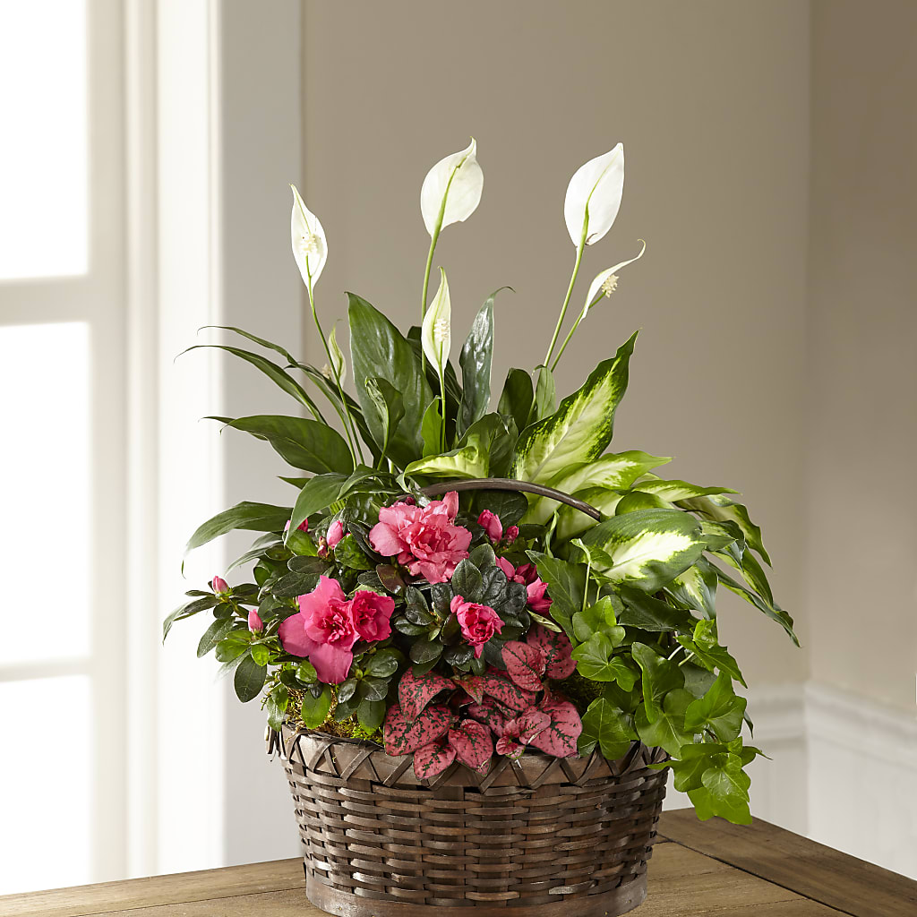Dream in Pink Dishgarden – Everything Nice By Colene, Stilwell OK