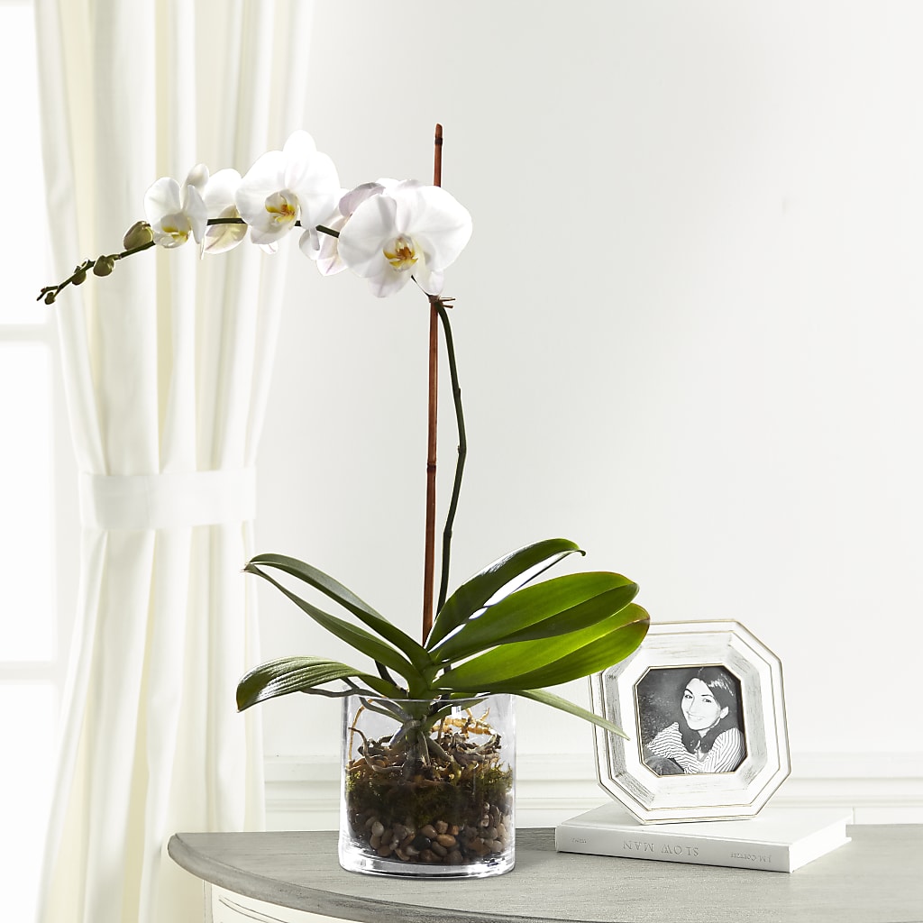 White Orchid Planter – Everything Nice By Colene, Stilwell OK