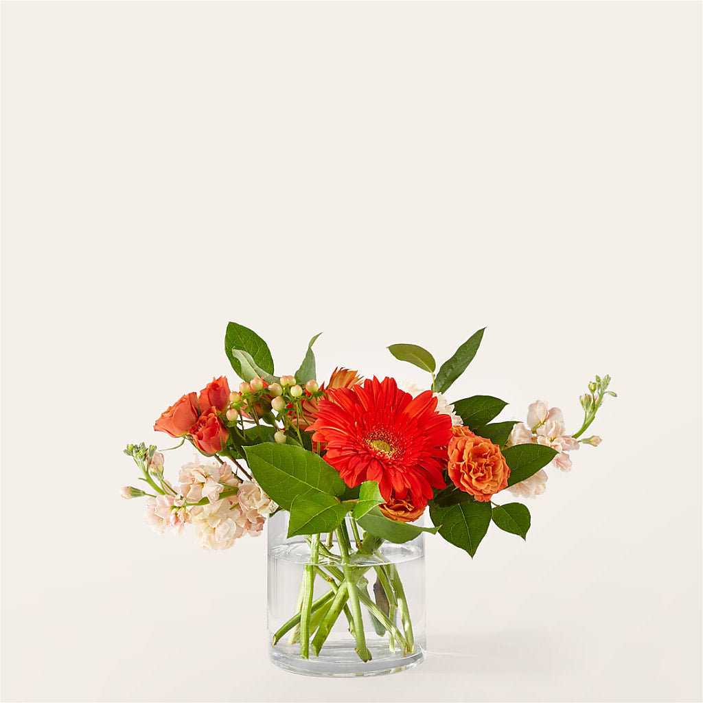 Paloma Please Bouquet – Everything Nice By Colene, Stilwell OK