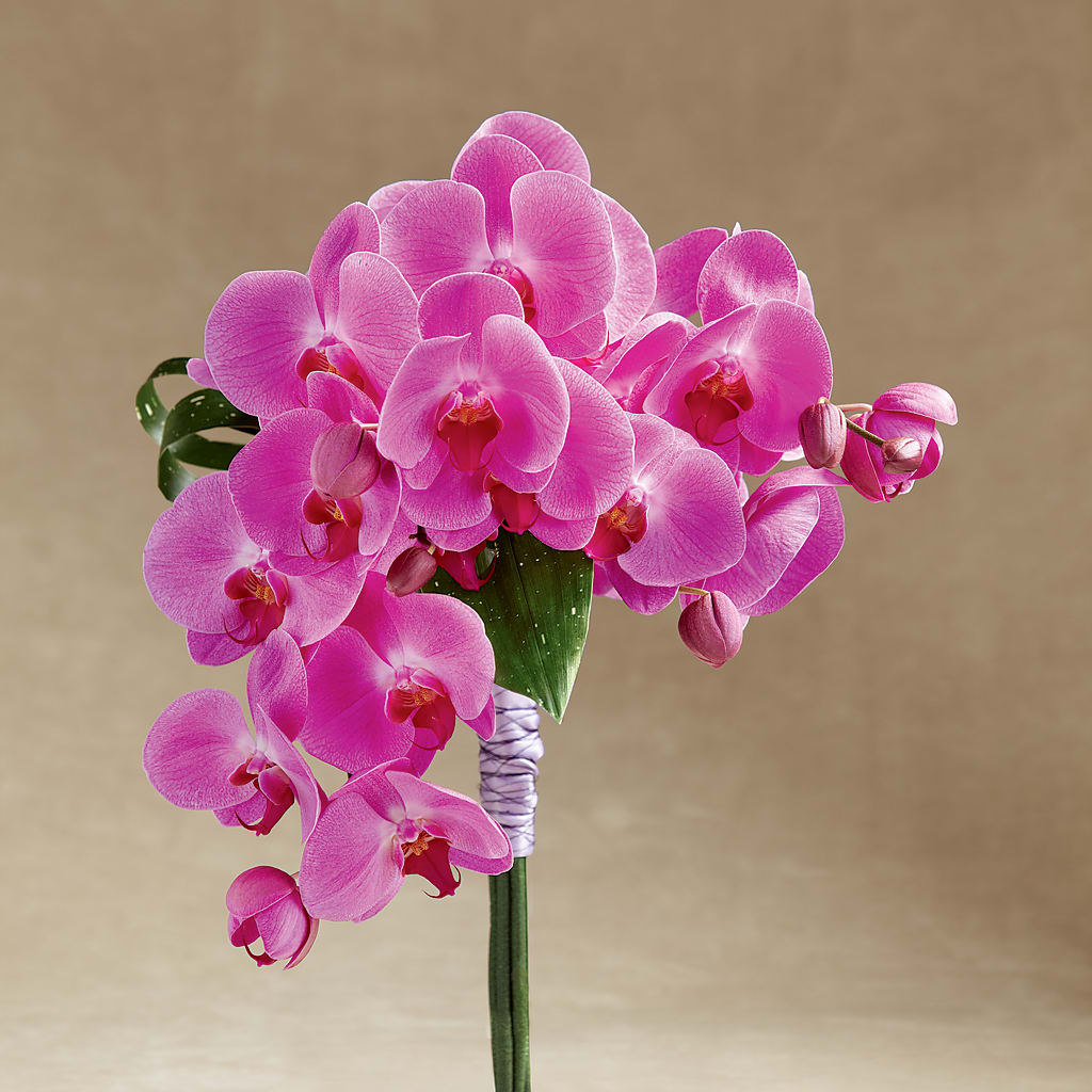 Glorious Bouquet – Everything Nice By Colene, Stilwell OK