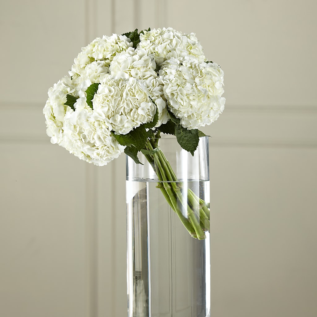 White Hydrangea Hand-Tied Bouquet – Everything Nice By Colene, Stilwell OK