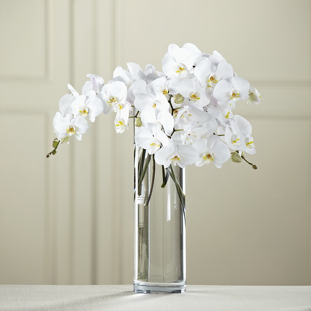 White Phalaenopsis Bouquet – Everything Nice By Colene, Stilwell OK
