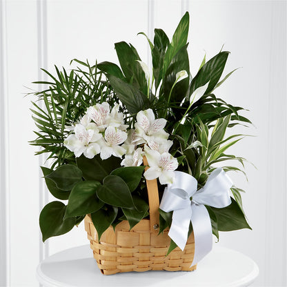 Peace & Serenity Dishgarden –  Everything Nice By Colene, Stilwell OK