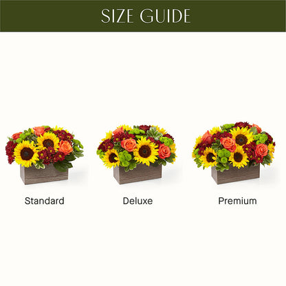 Happy Harvest Garden –  Everything Nice By Colene, Stilwell OK