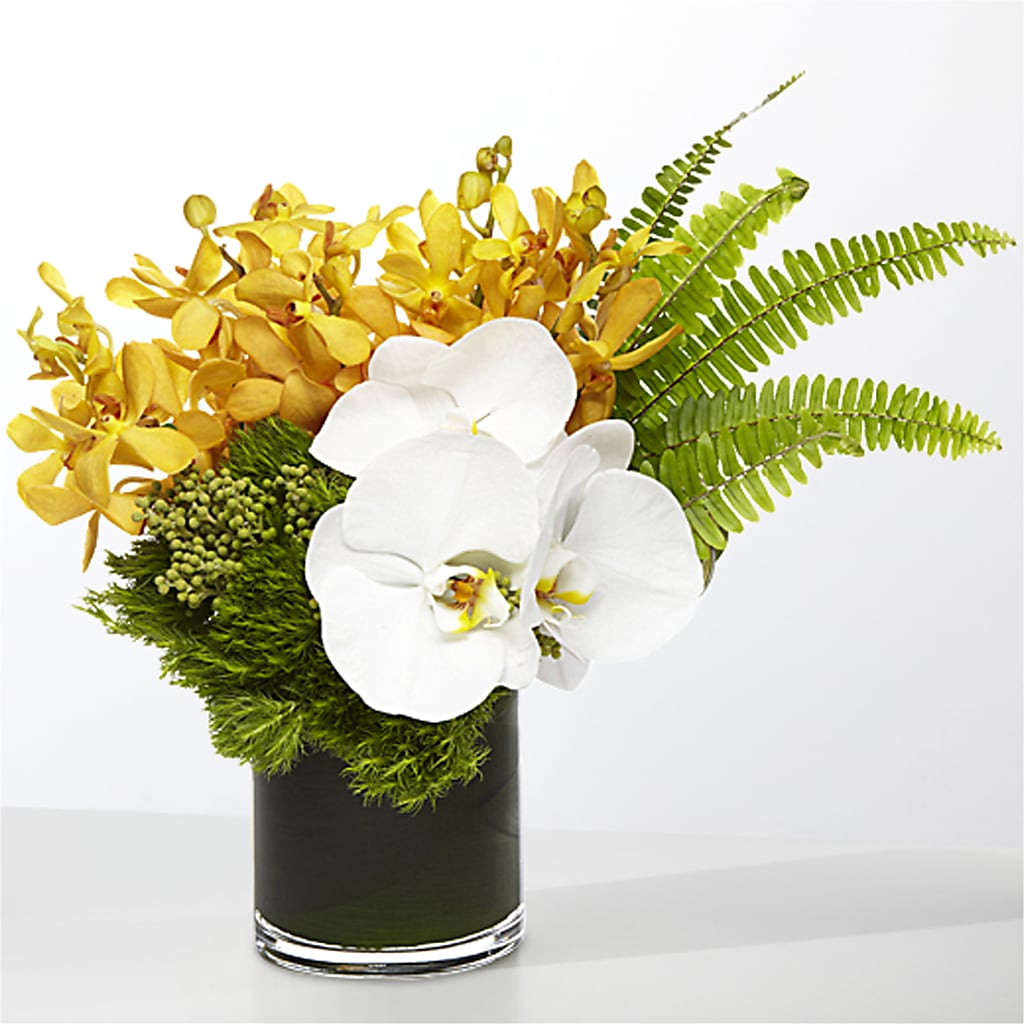The Tropics –  Everything Nice By Colene, Stilwell OK