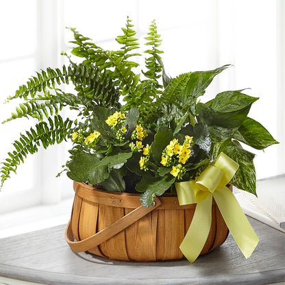 Always Dear Dishgarden –  Everything Nice By Colene, Stilwell OK