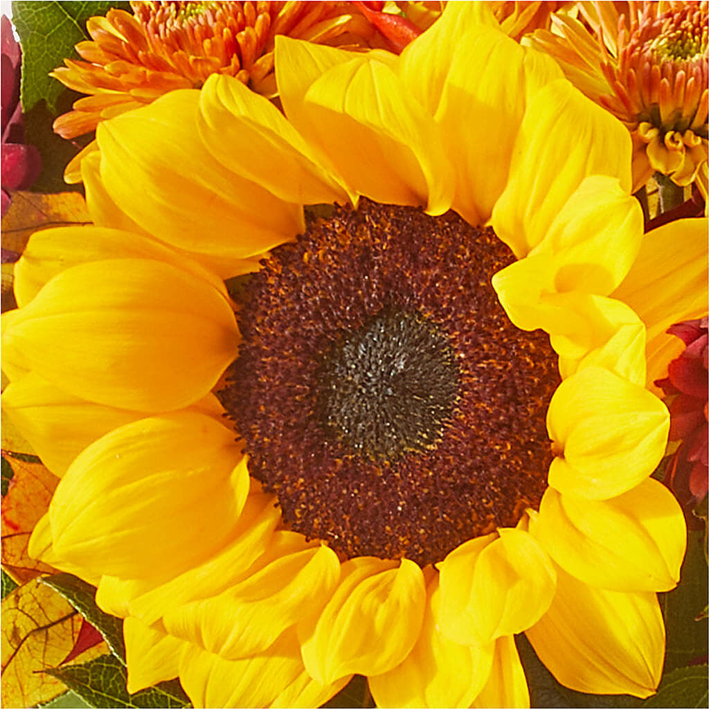 Sunny Side Bouquet –  Everything Nice By Colene, Stilwell OK